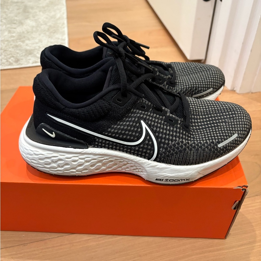 Zoomx invincible run